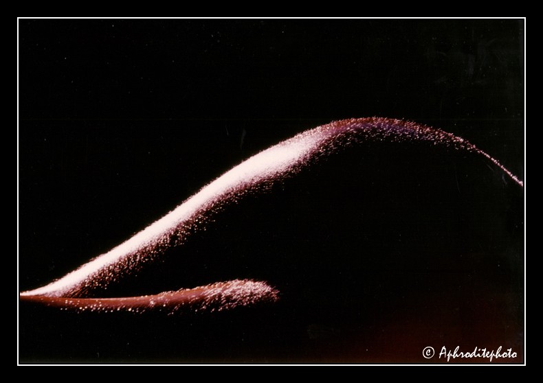 02 La courbe veloutée